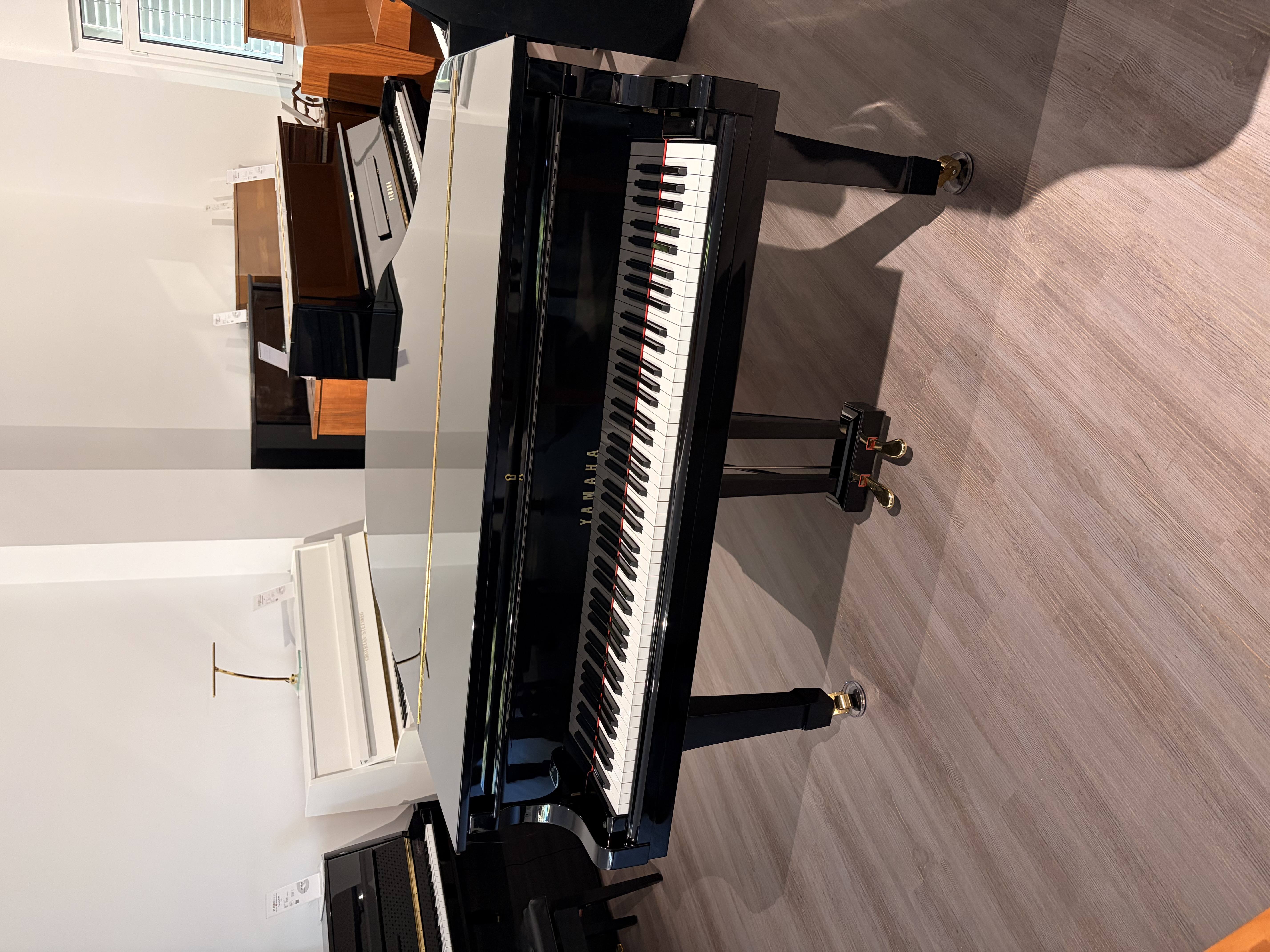 Yamaha G2E Flügel