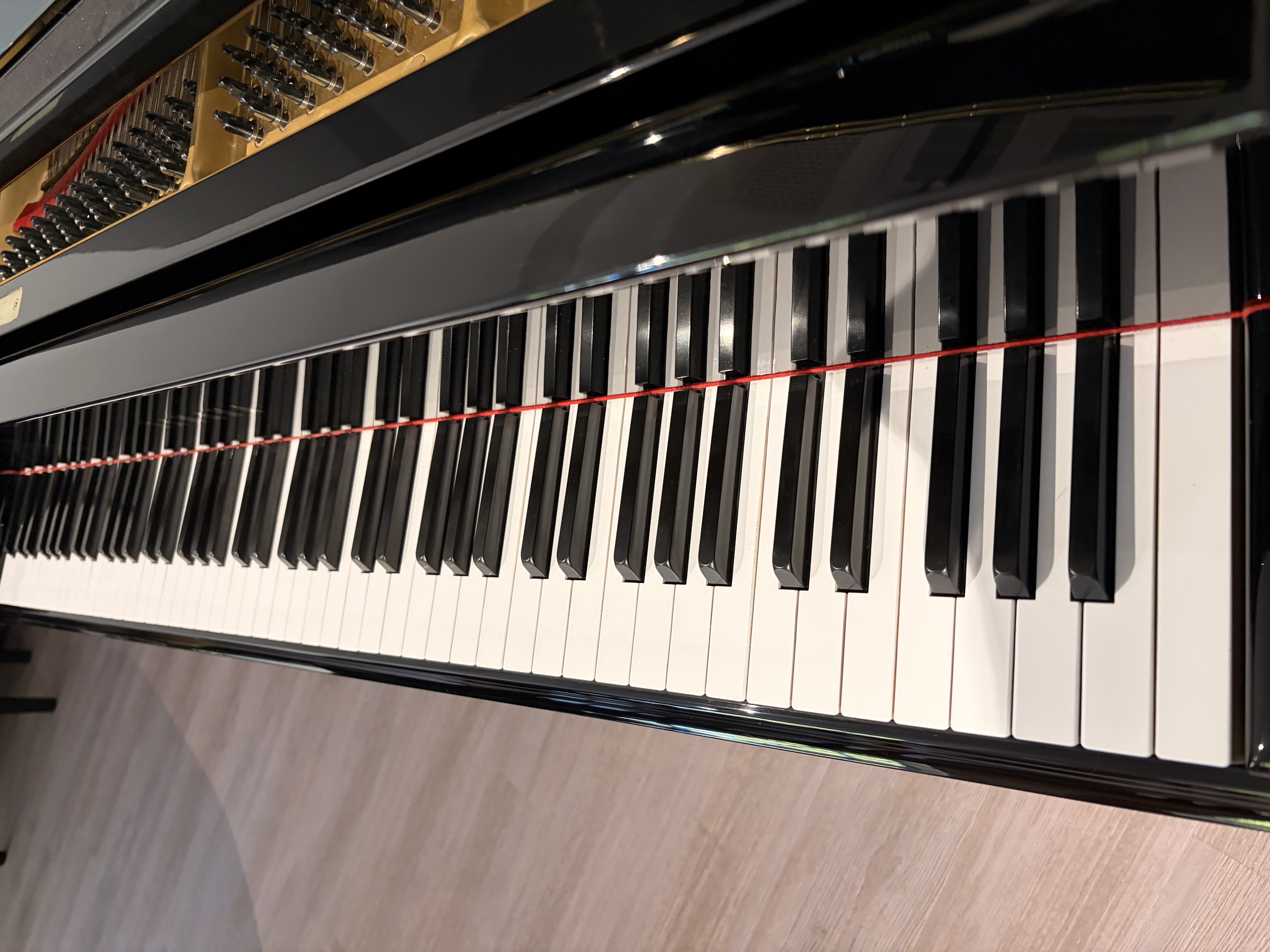 Yamaha G2E Flügel