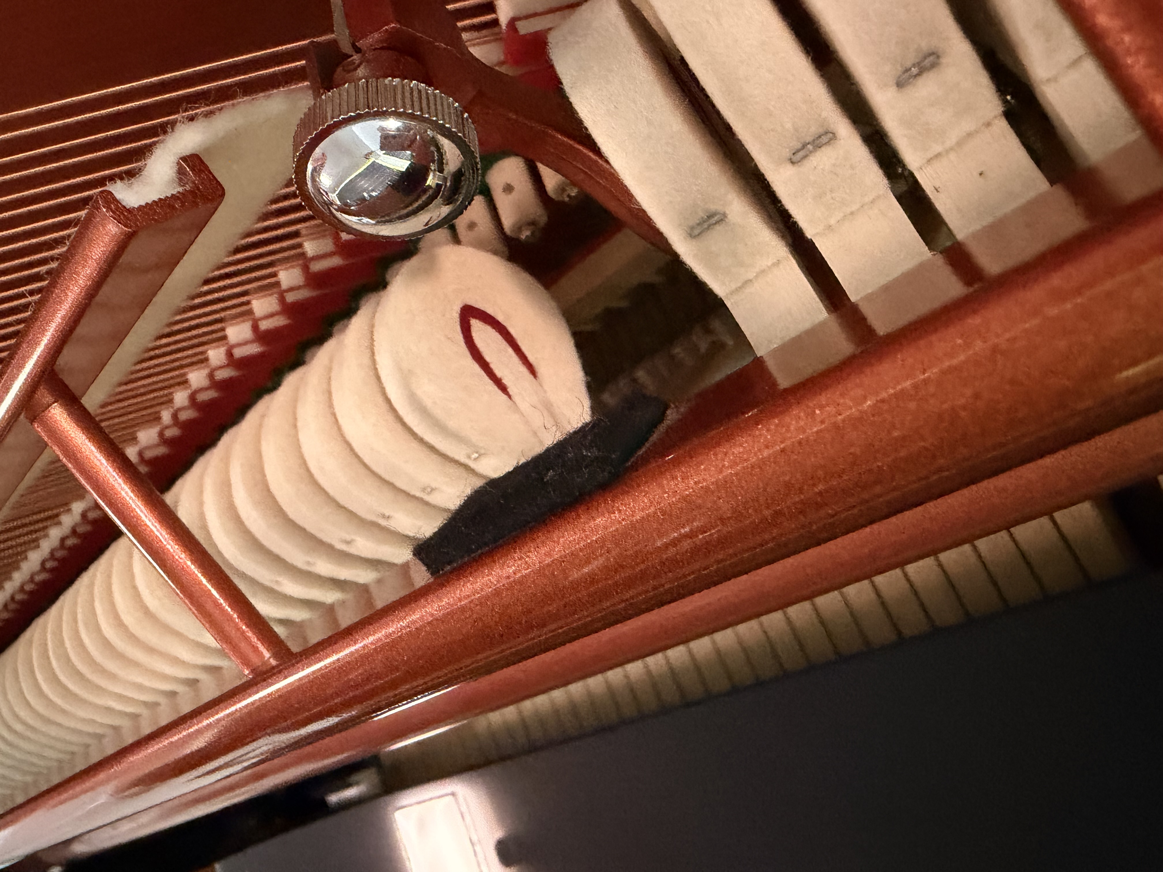 Feurich 115 Premiere Klavier