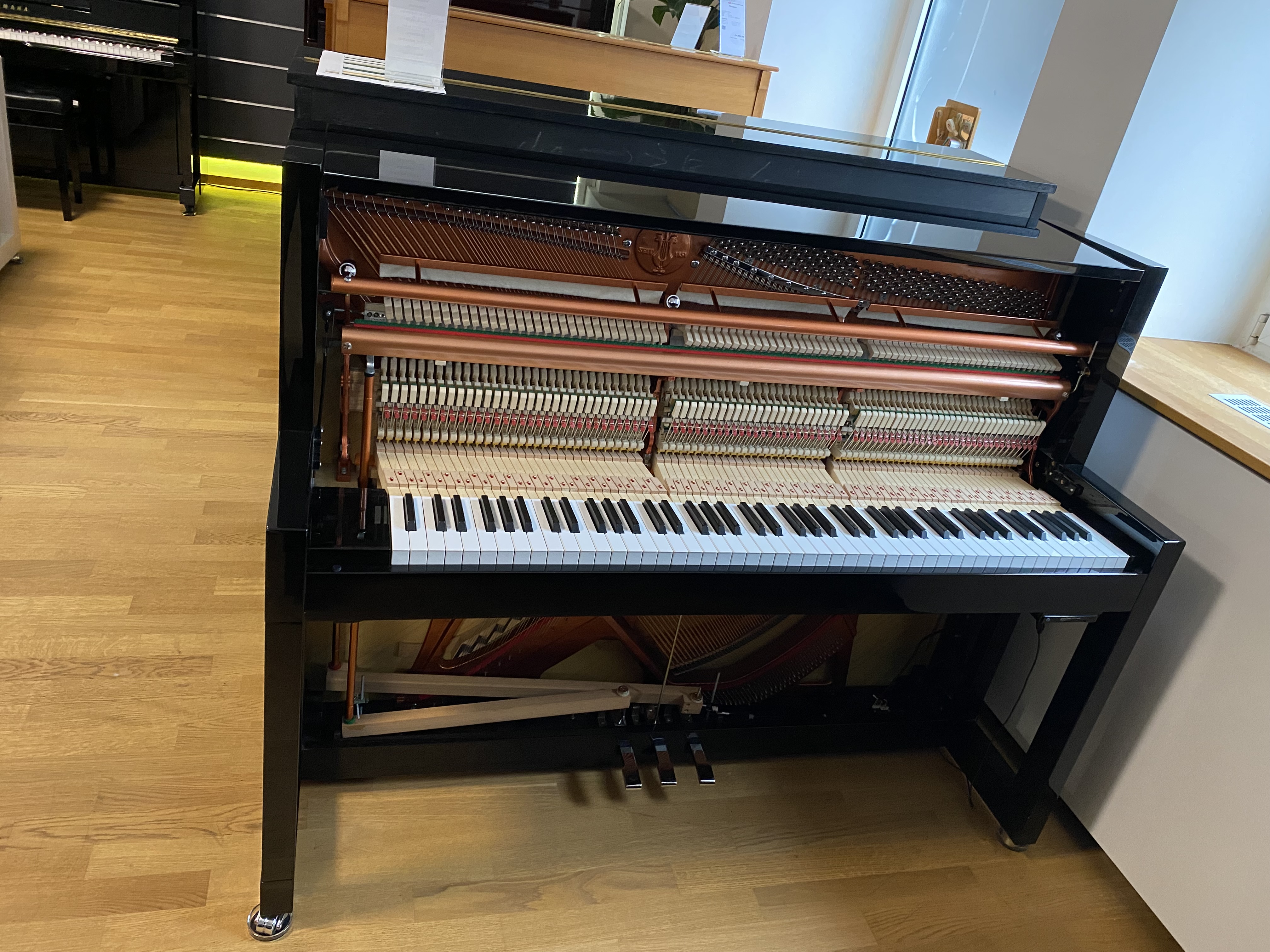 FEURICH 115 Premiere Silent