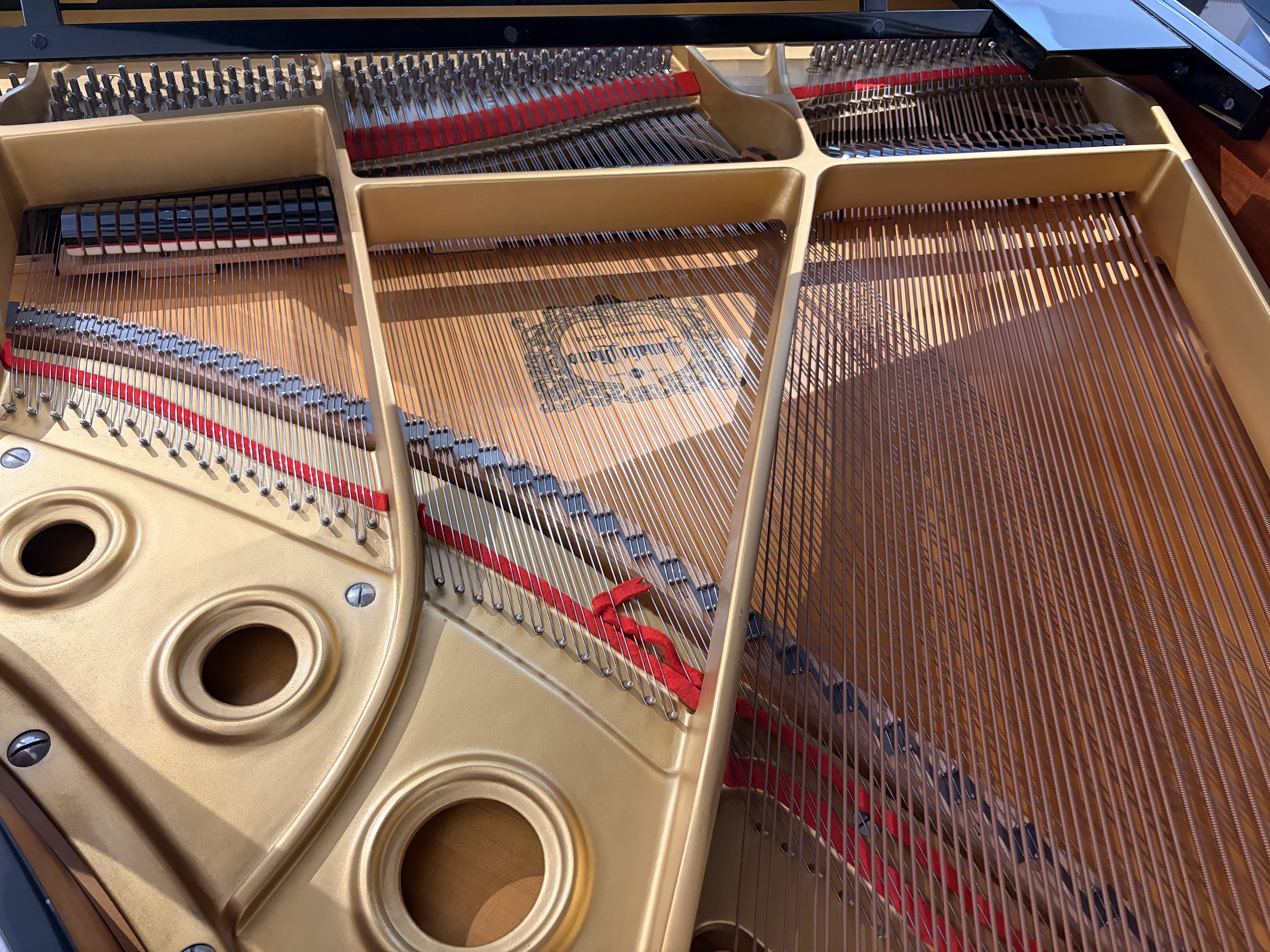 Yamaha G2A Flügel