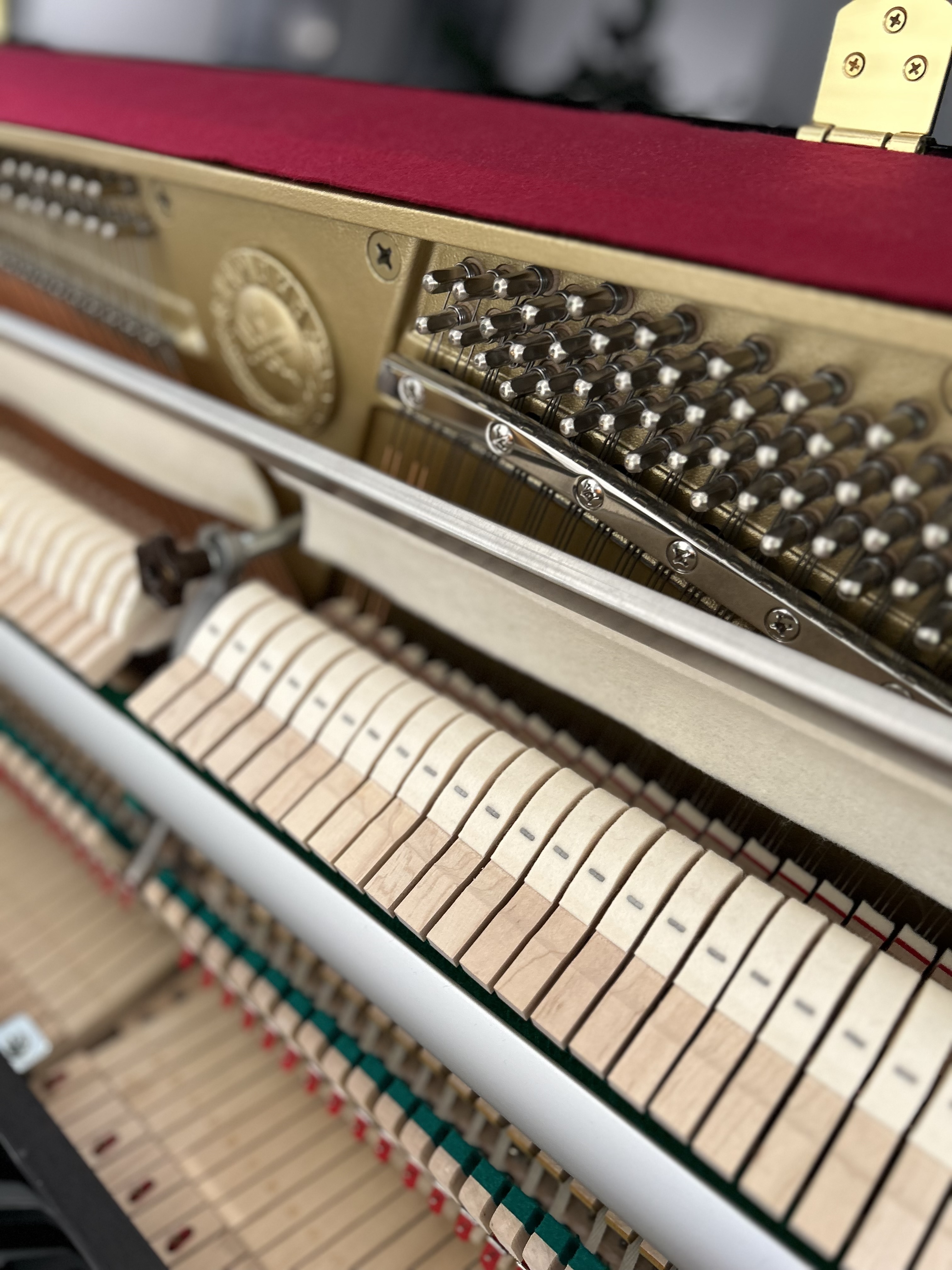 Yamaha B1PE Silent Klavier