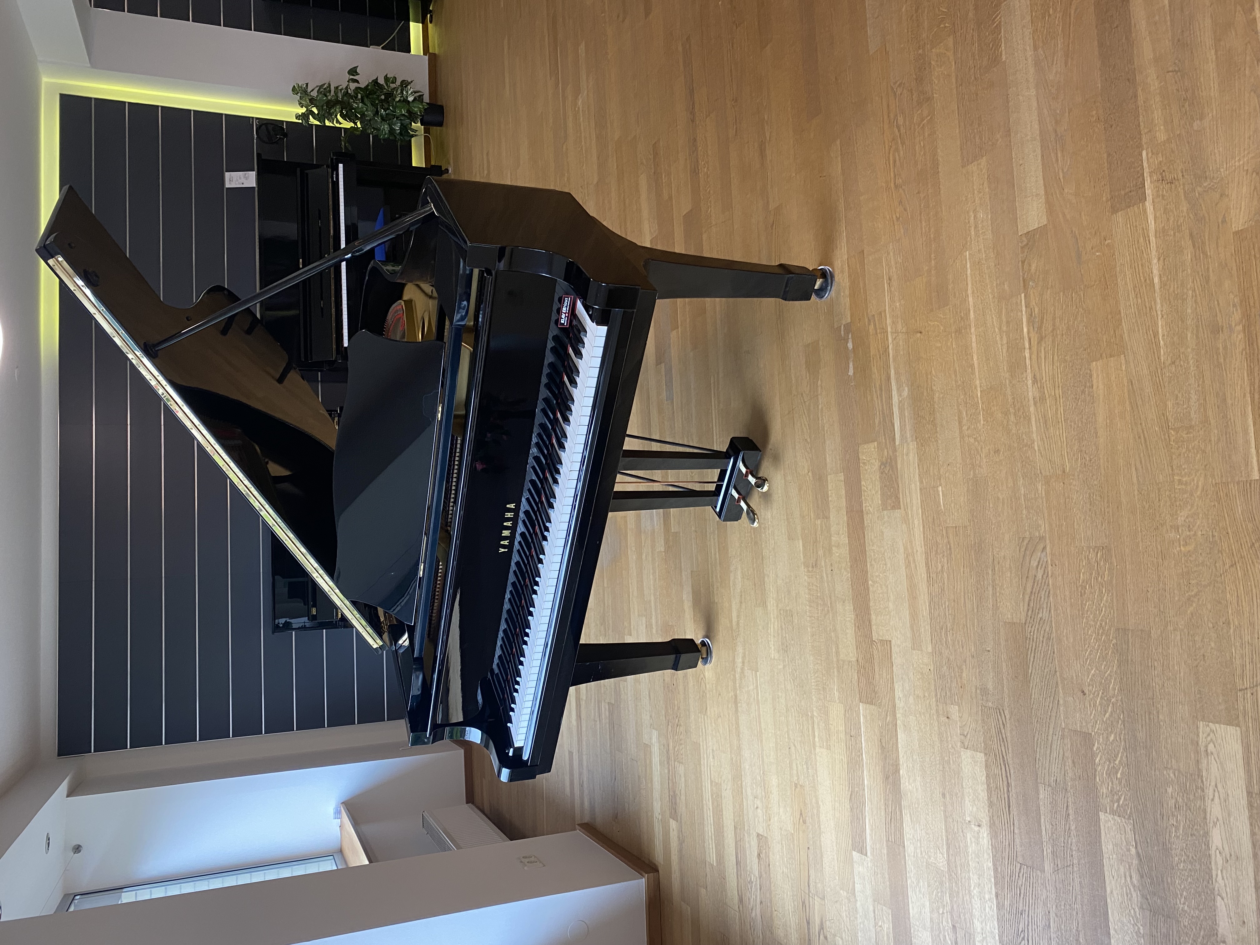 Yamaha G3 Flügel