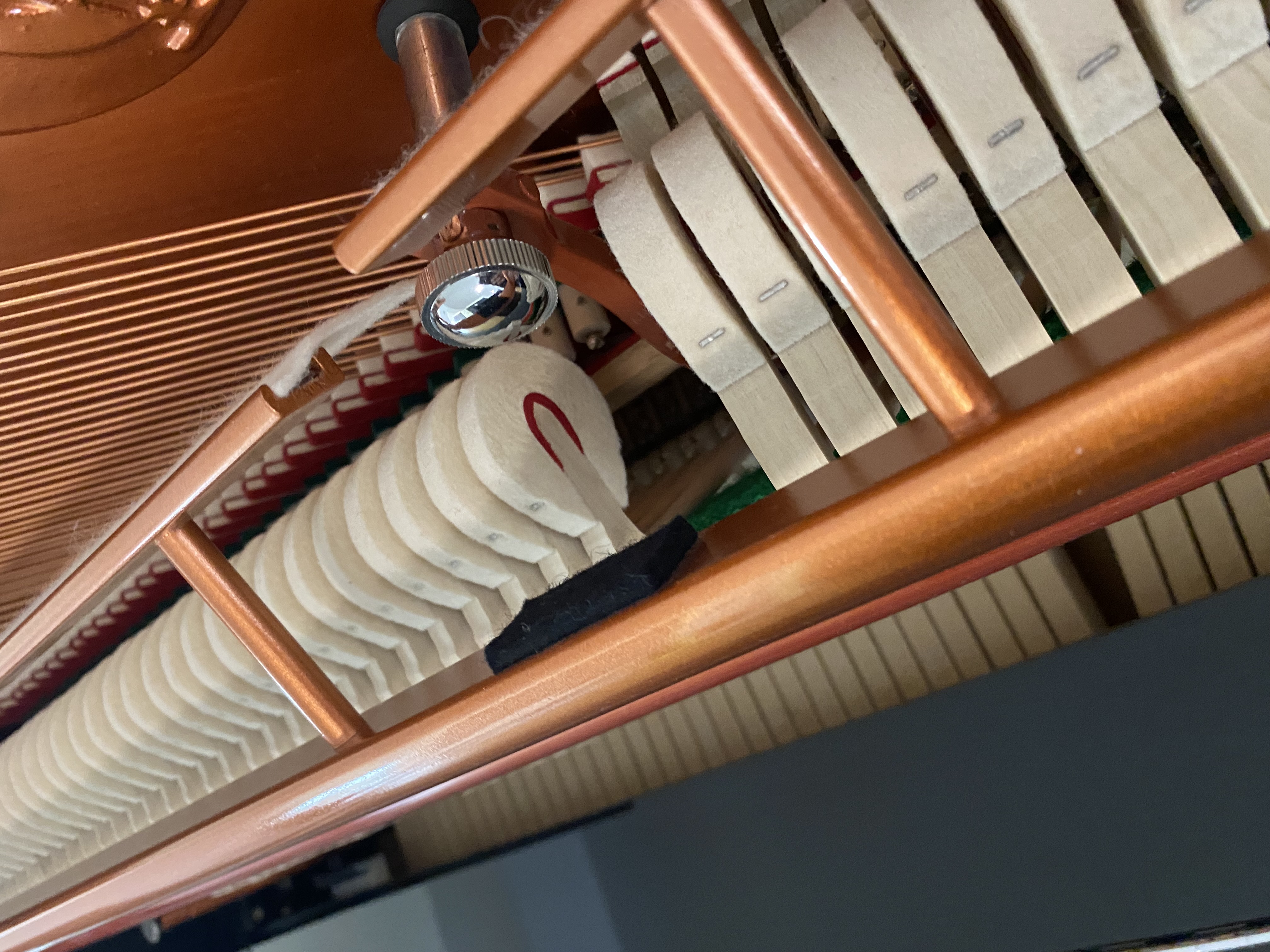 Feurich 115 Premiere Klavier