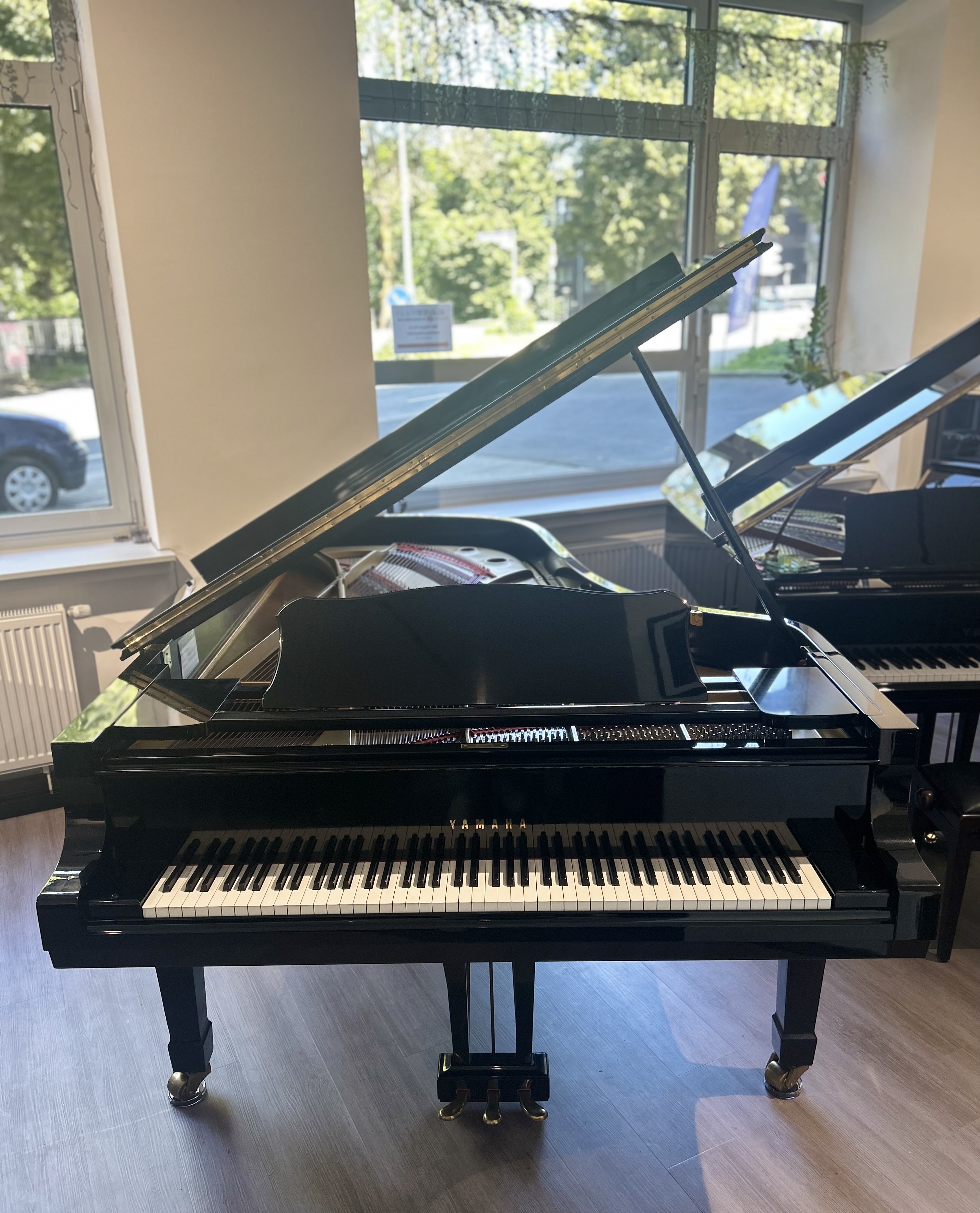 Yamaha CS II Flügel