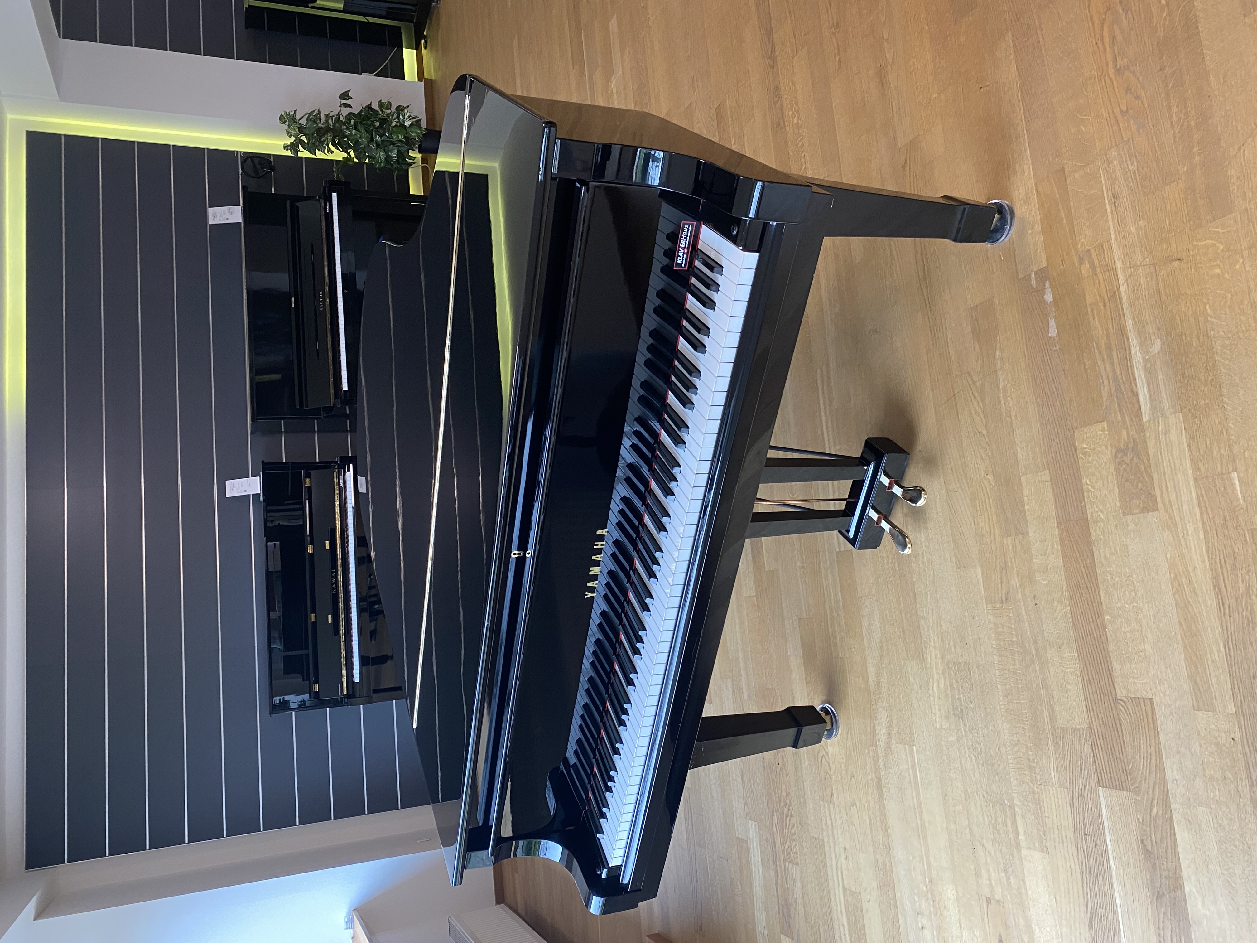 Yamaha G3 Flügel