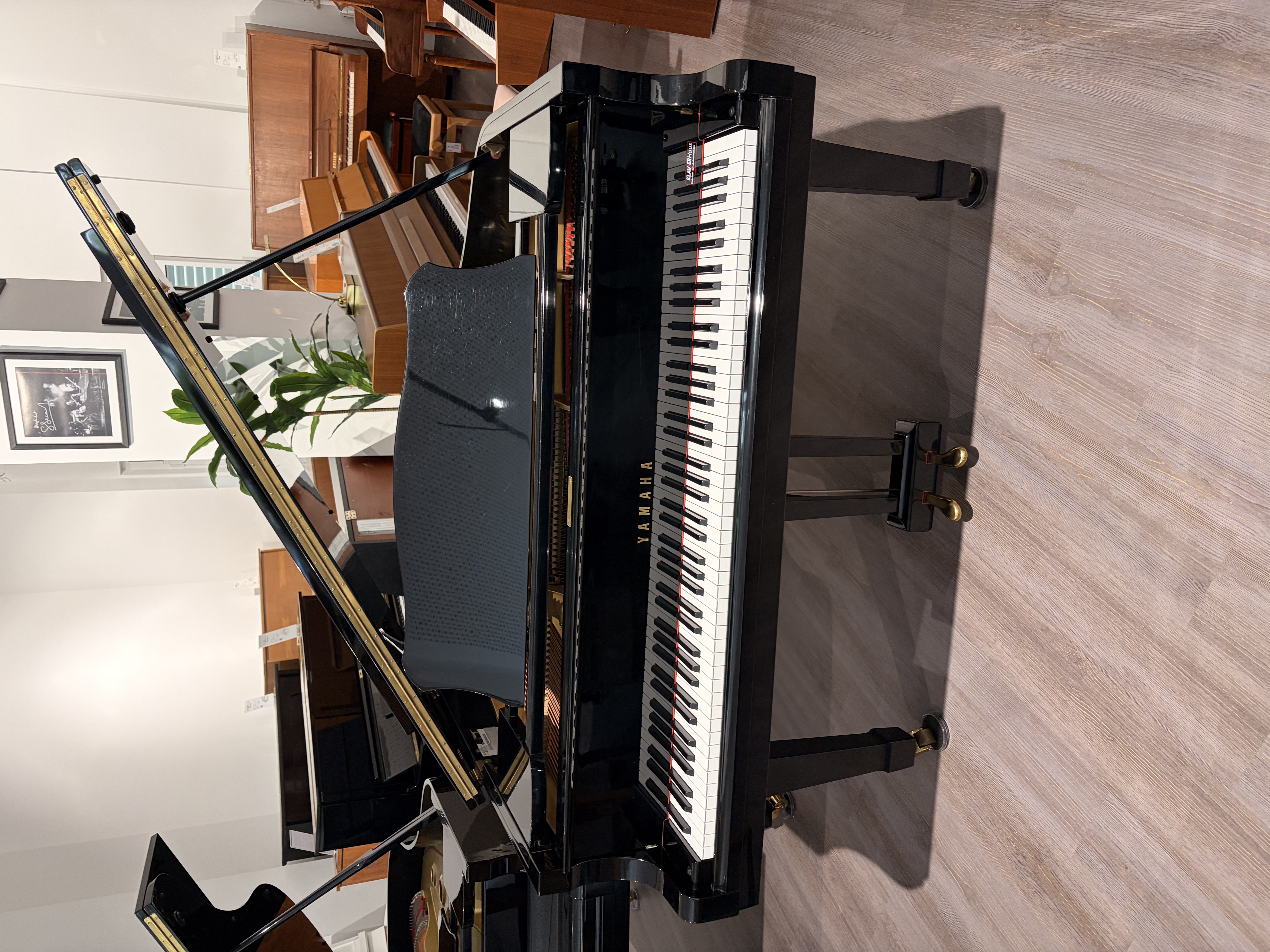 Yamaha G2 Flügel