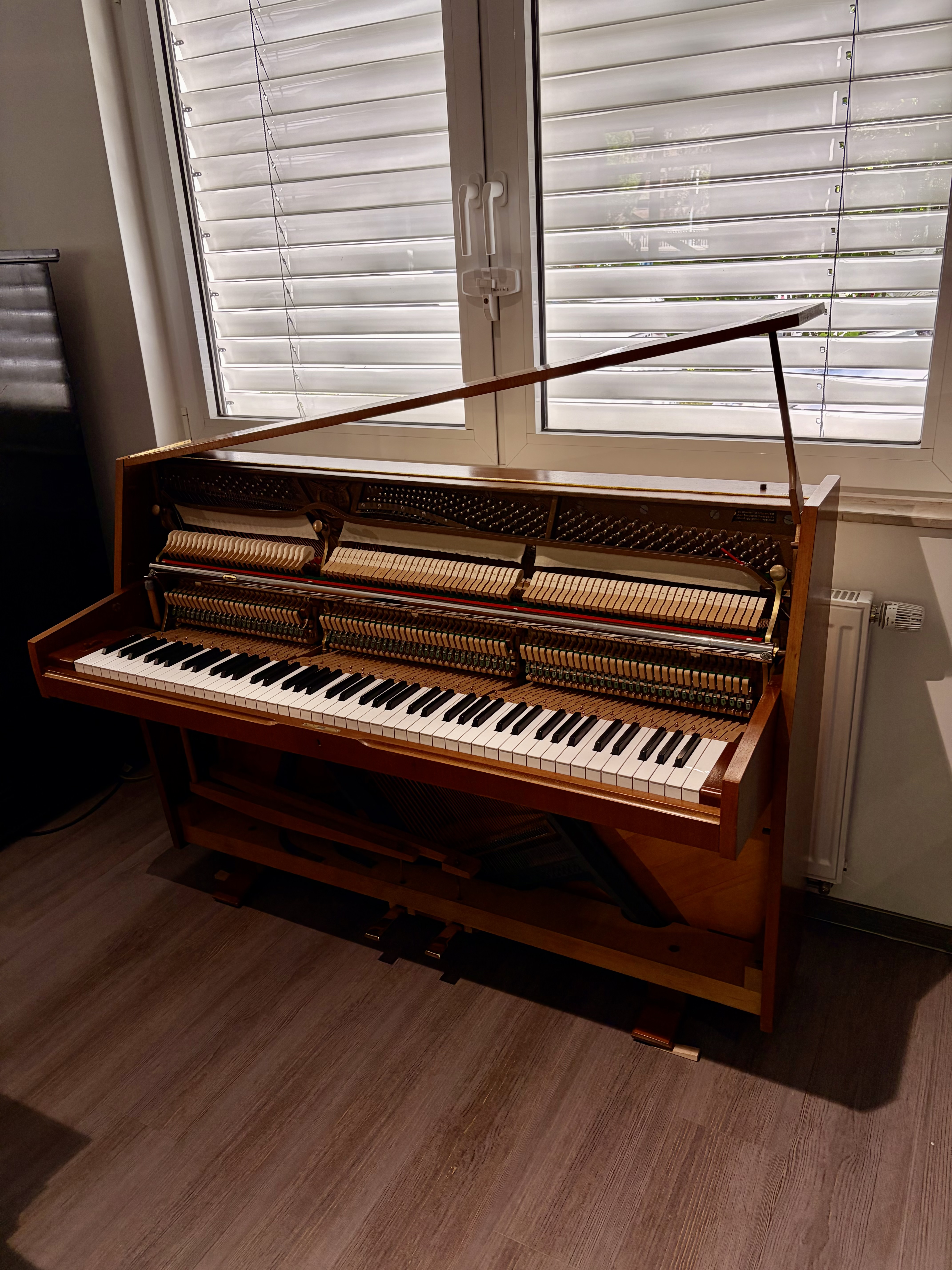 Euterpe Klavier