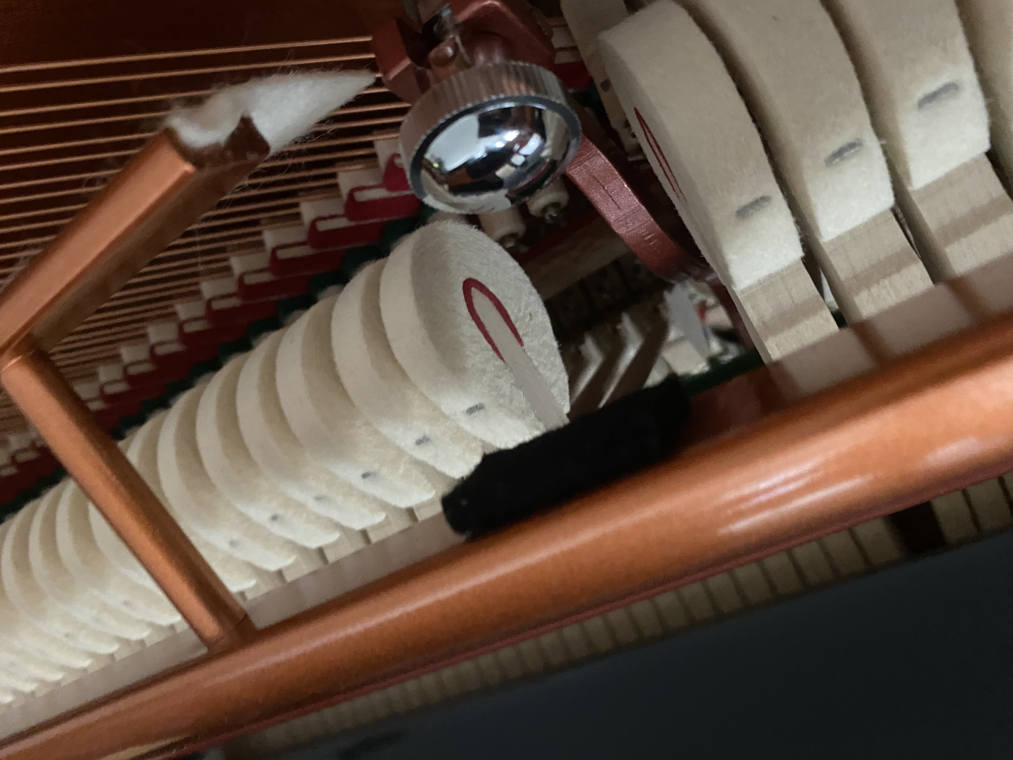 Feurich 115 Premiere Klavier