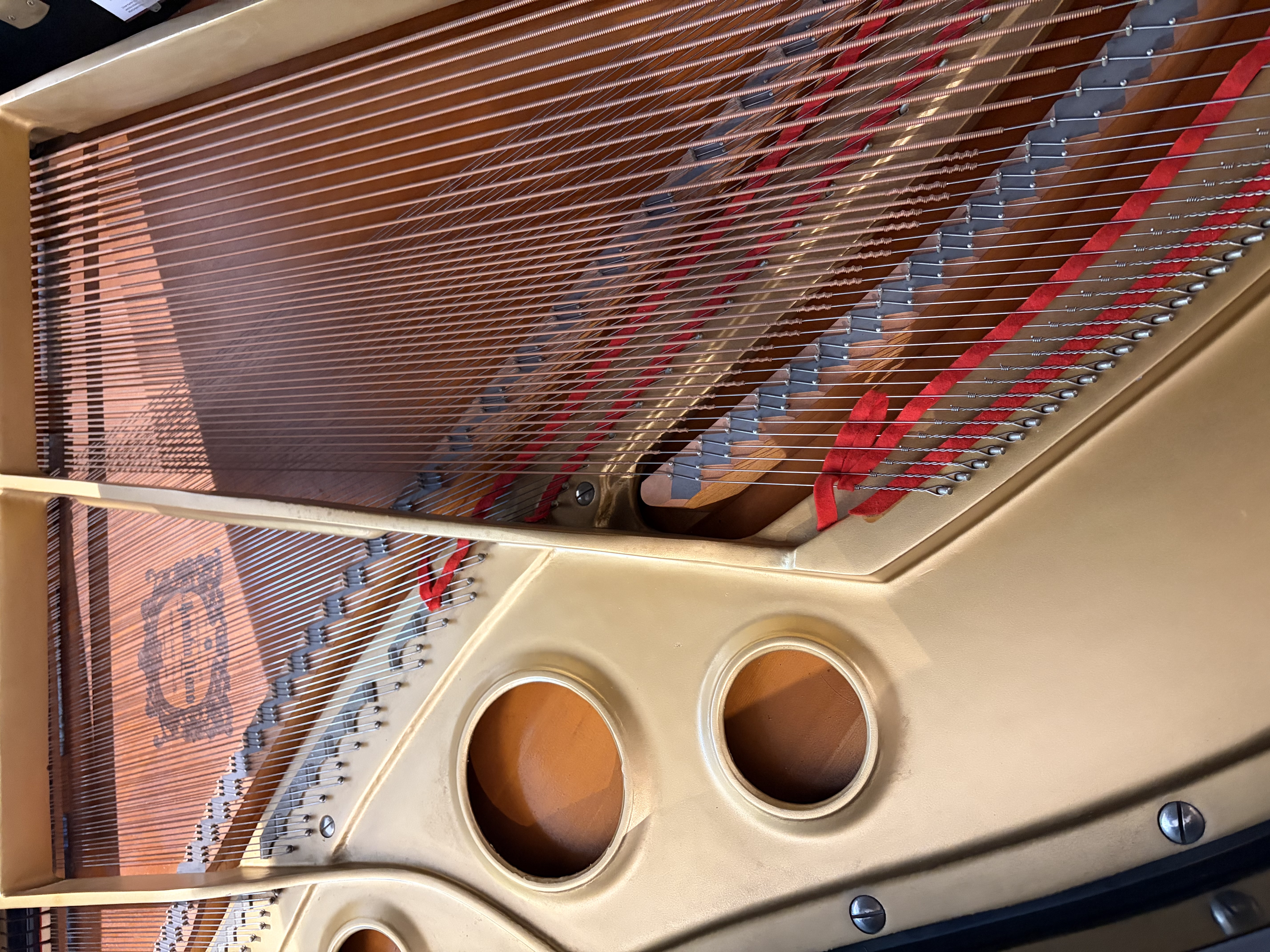 Yamaha G5E Flügel