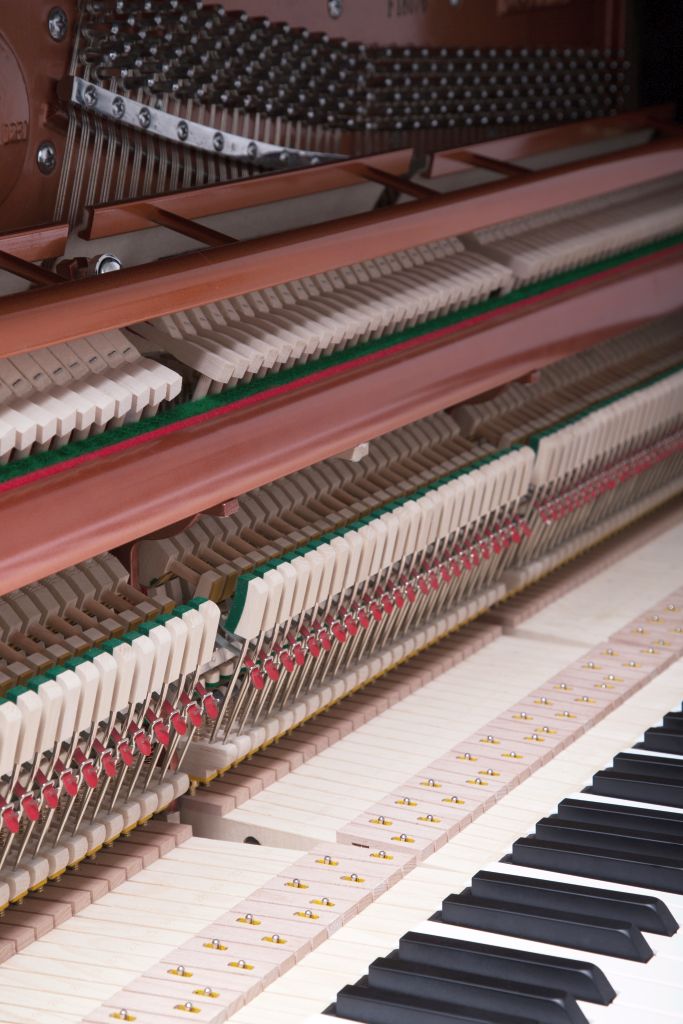 Feurich 115 Premiere adsilent Klavier
