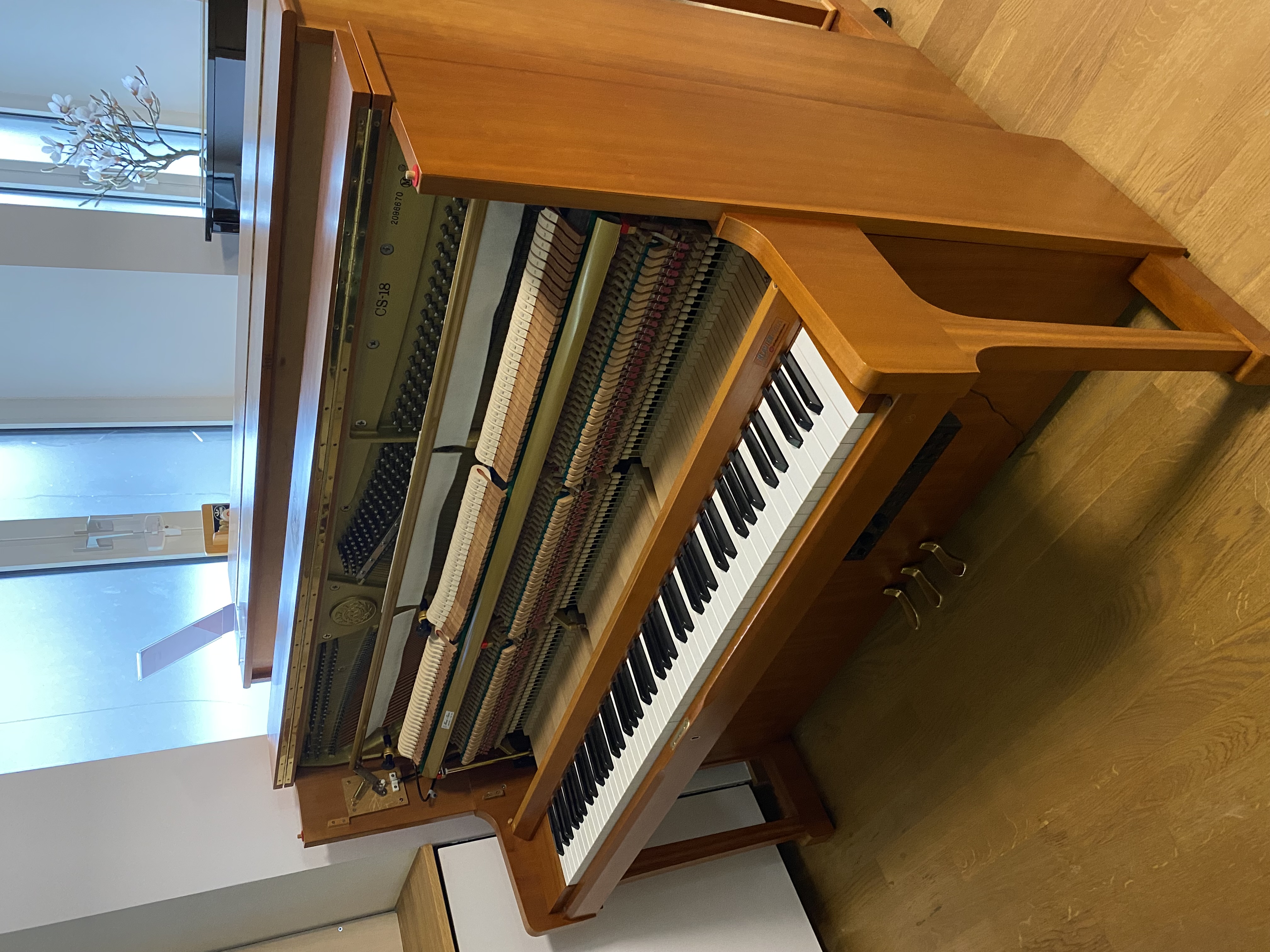 Kawai CS-18 Silent Klavier