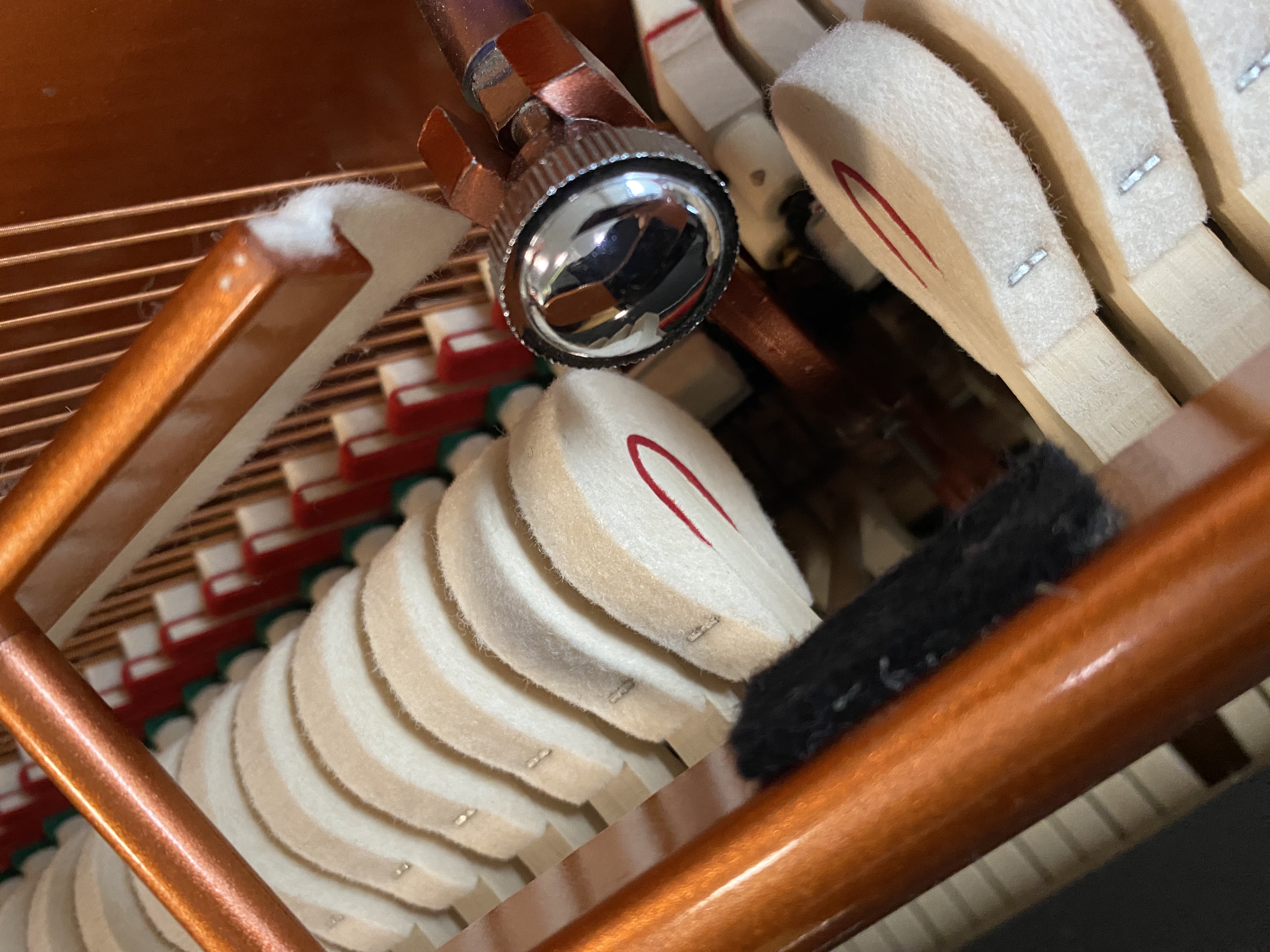 FEURICH 115 Premiere Silent