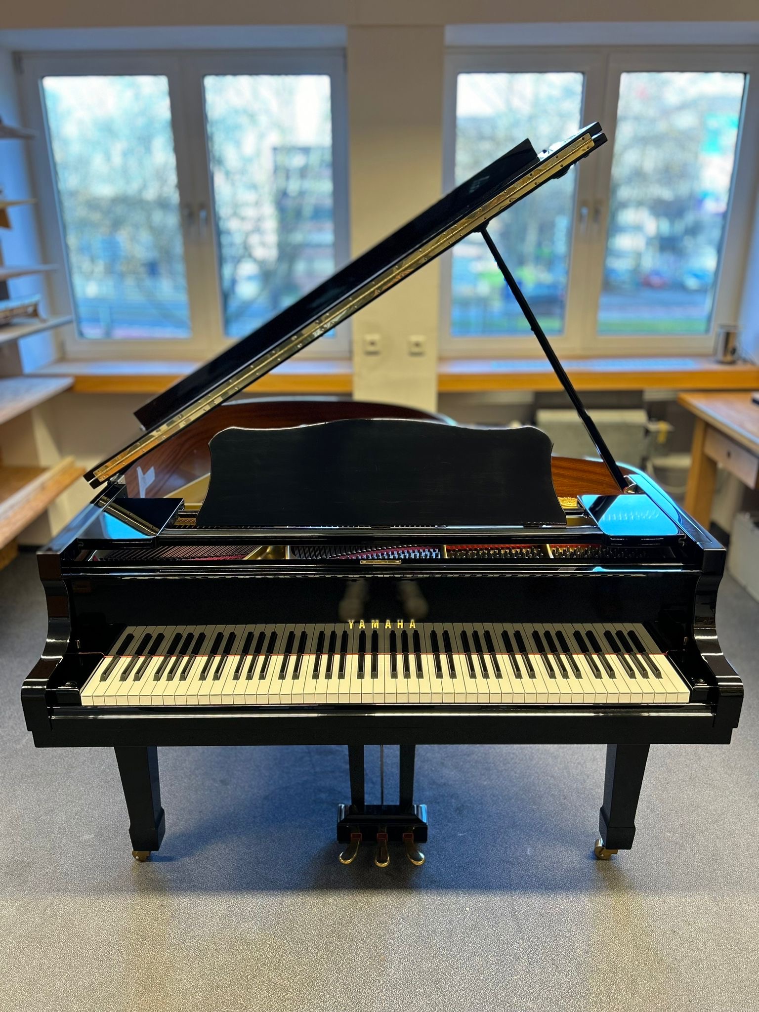 Yamaha G2 Flügel