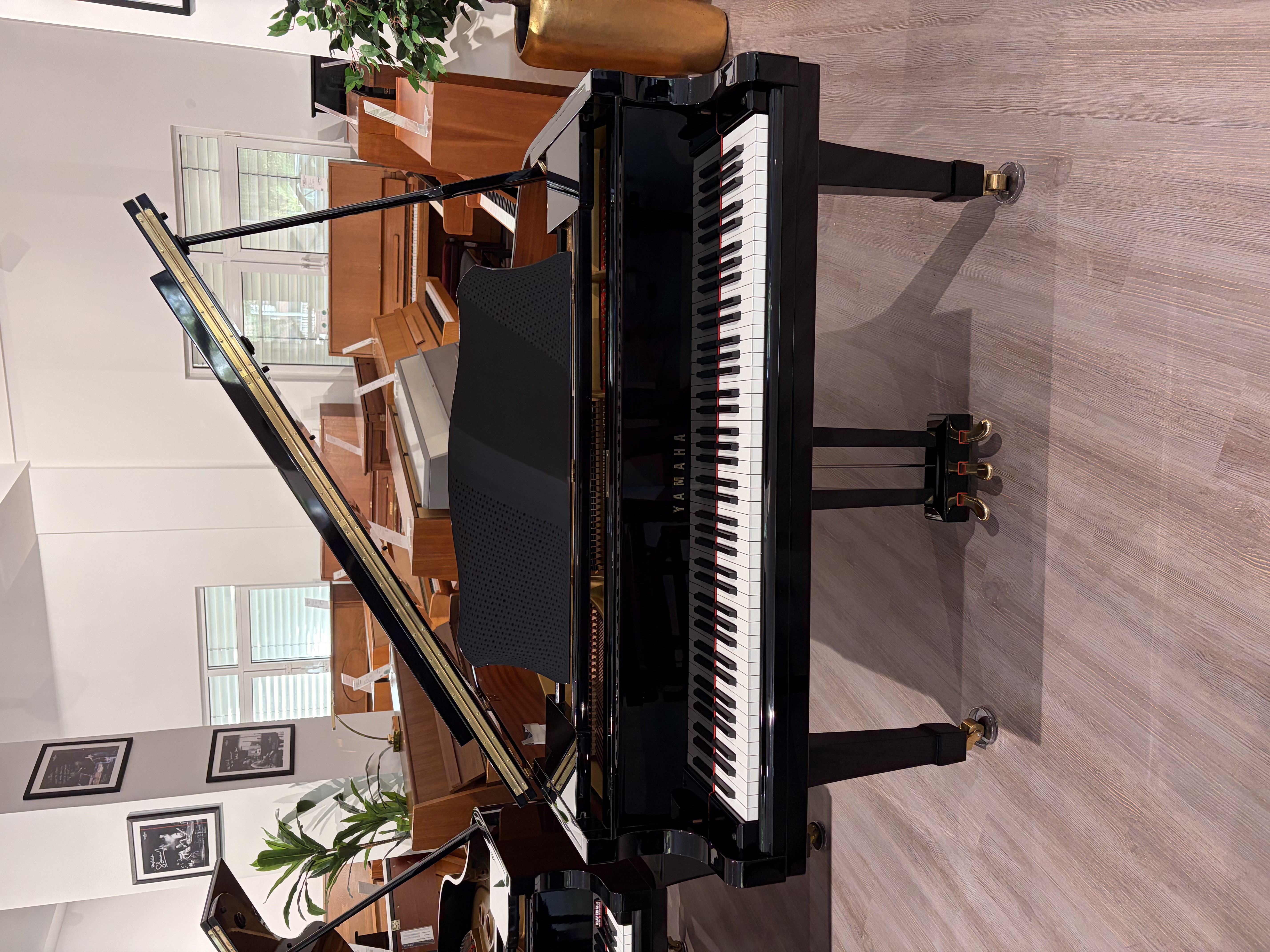 Yamaha G2A Flügel