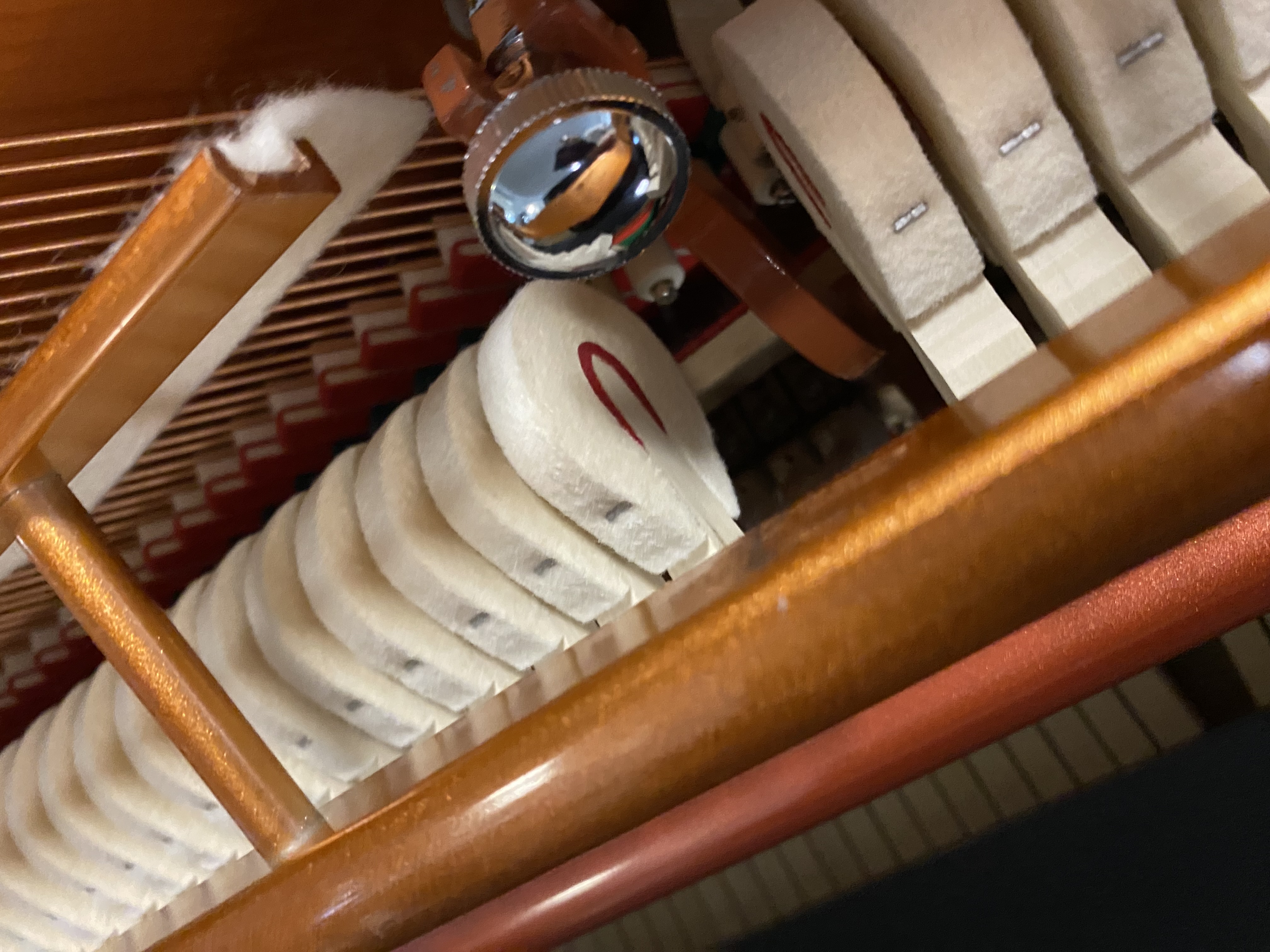 Feurich 115 Premiere Klavier