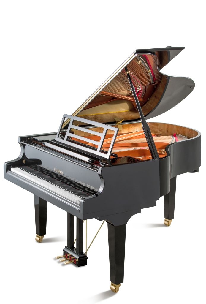 Feurich 179 Dynamic II Flügel