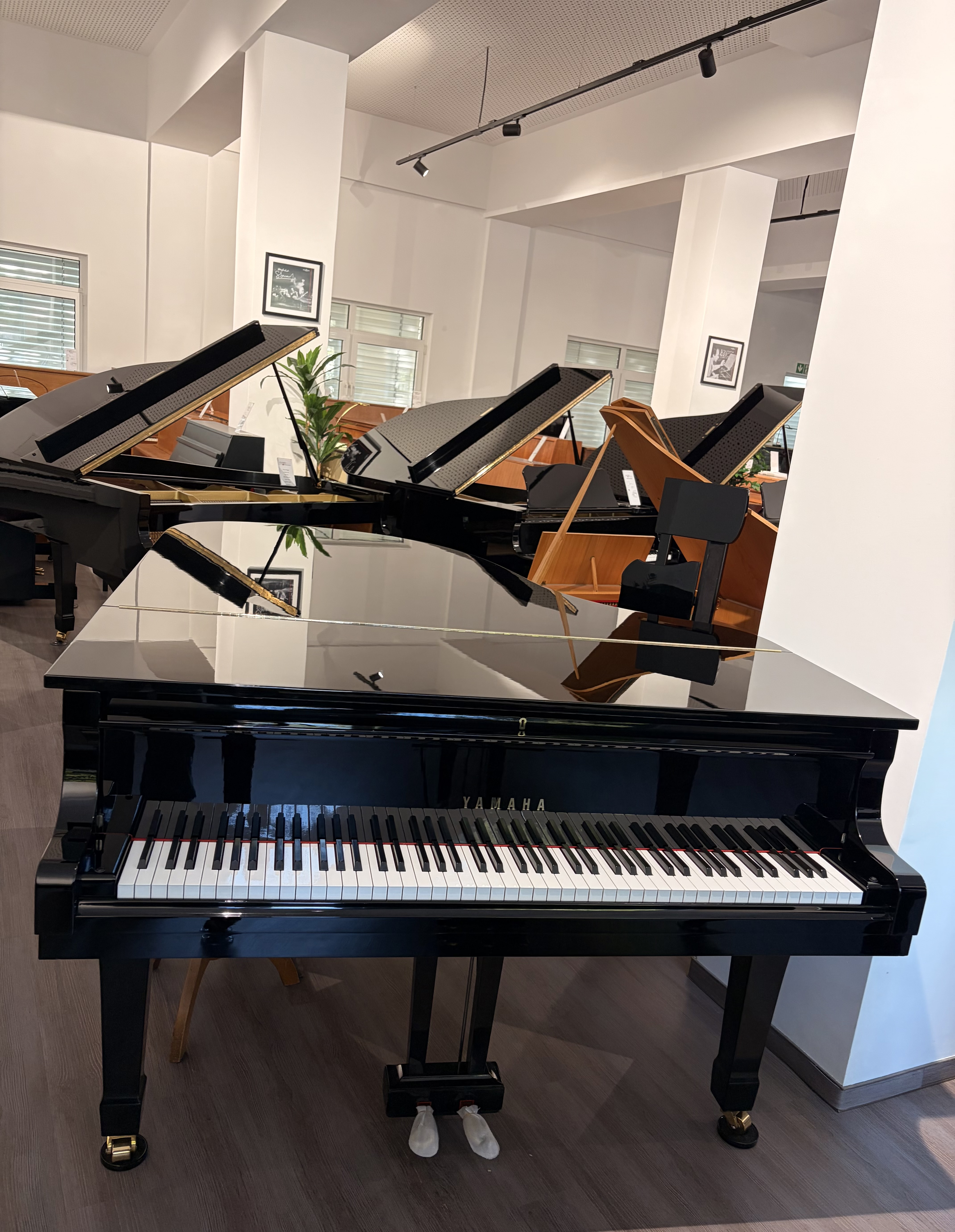 Yamaha G5E Flügel
