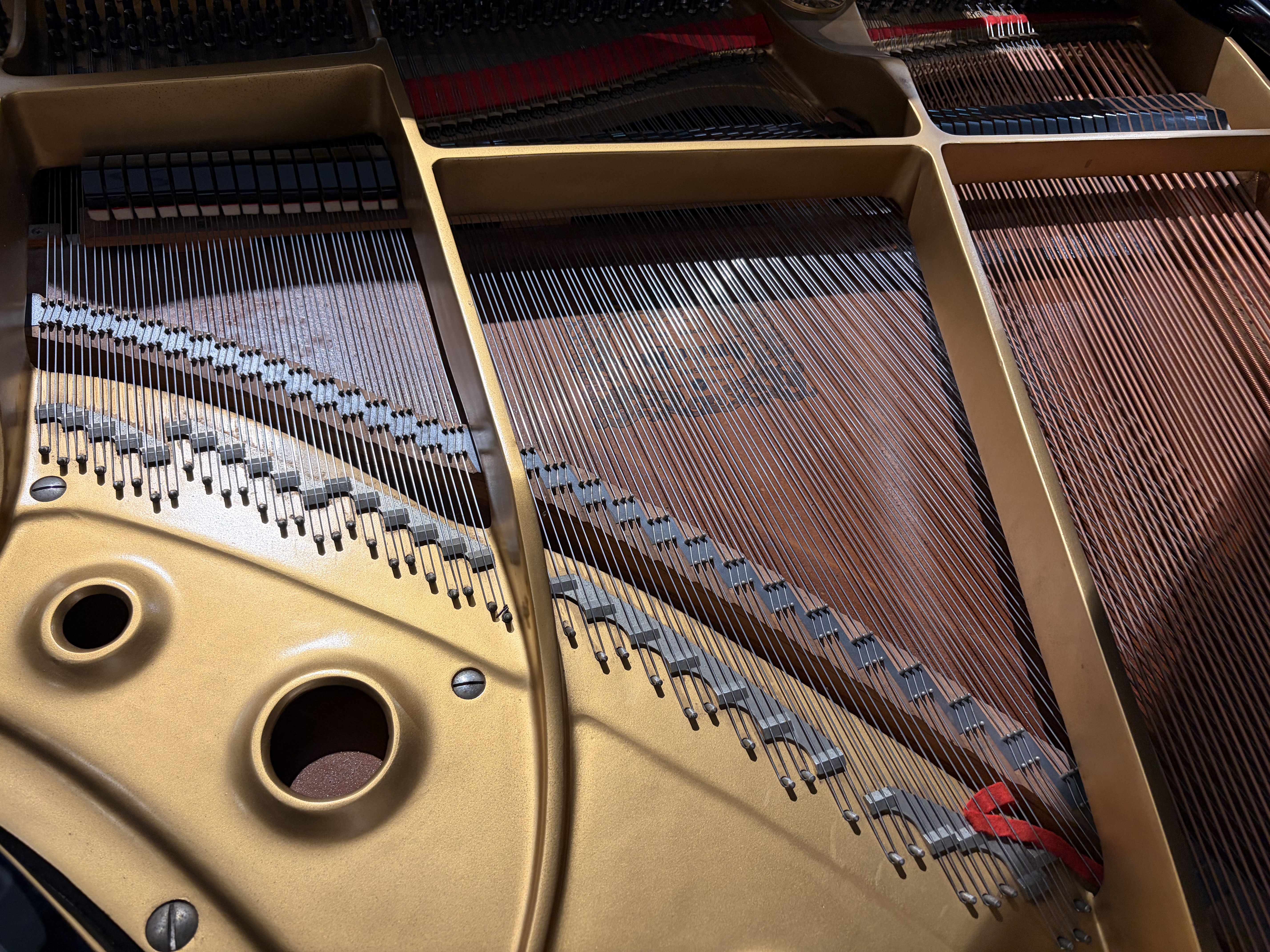 Yamaha G2 Flügel
