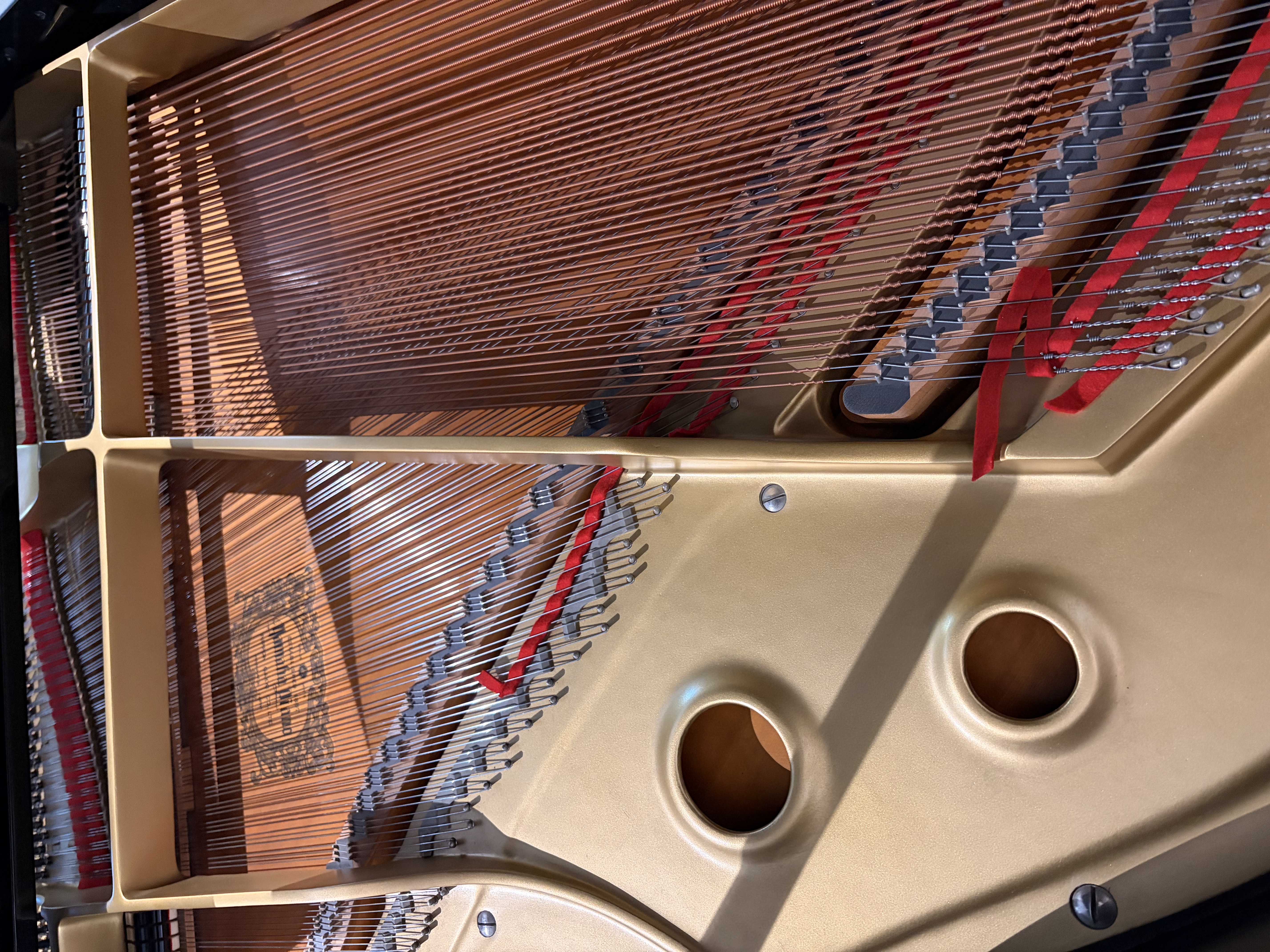 Yamaha G2E Flügel