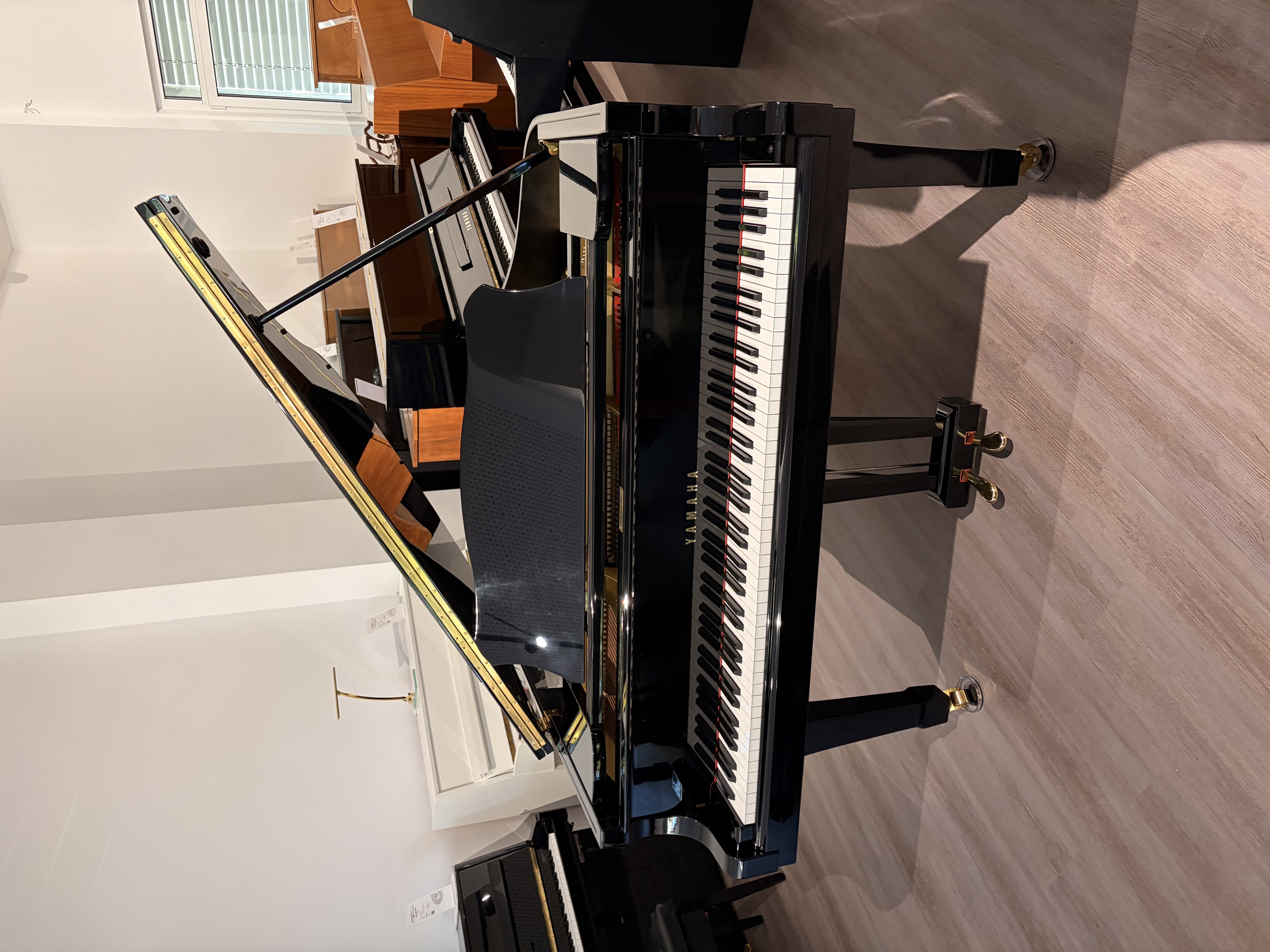 Yamaha G2E Flügel